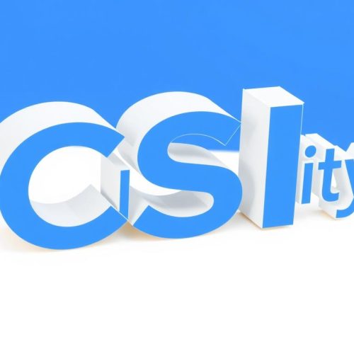 CSIdentity Corporation | Company Profile