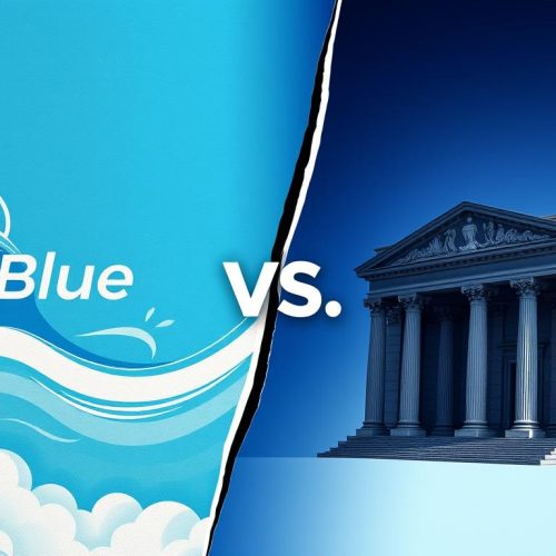 Lexington Law vs Sky Blue | Which Service Is Better?